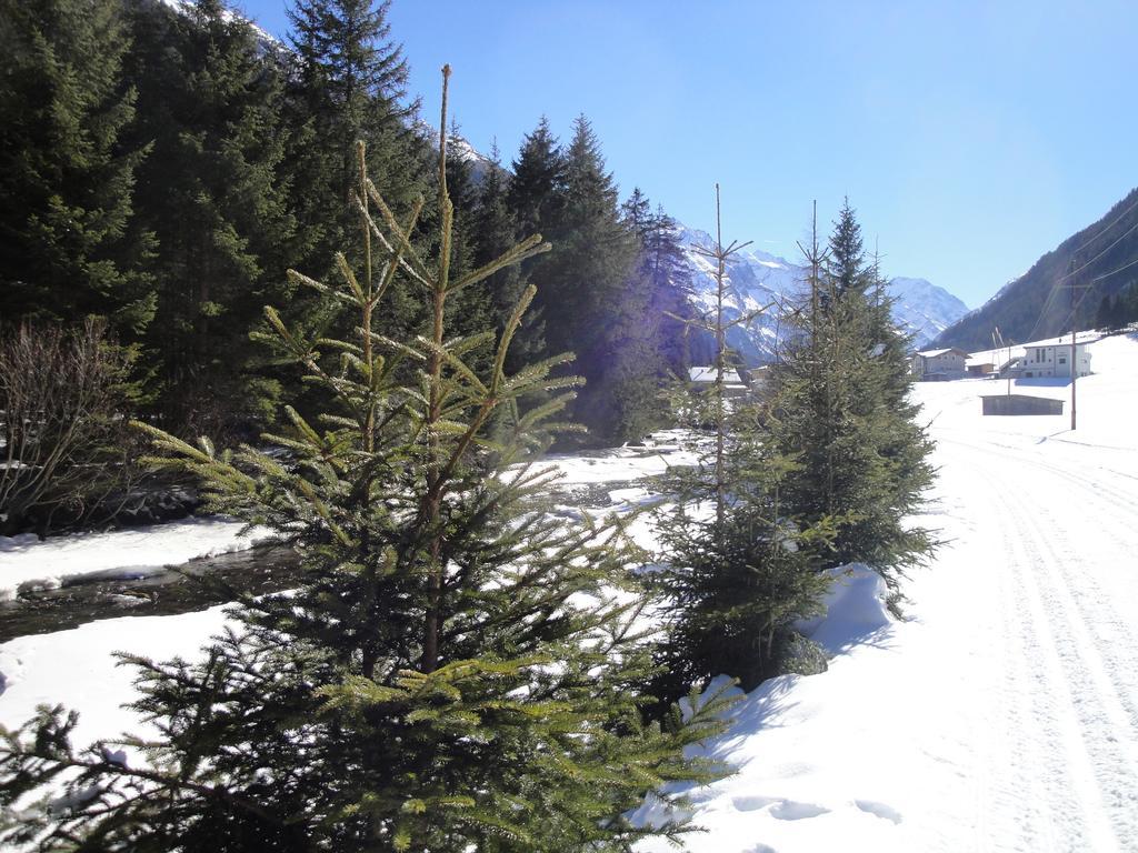 Apart Alpinea 皮茨河谷圣莱昂哈德 外观 照片